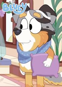 قسمت سیزدهم