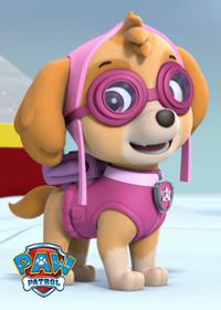 قسمت بیست و سوم Pups Save a Pizza