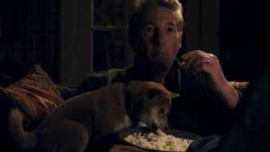 Hachi A Dog's Tale