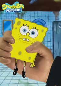 قسمت هفتم Model Sponge