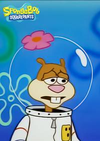 قسمت سی ام Texas