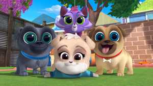 تماشای رایگان همه قسمت های کارتون هاپوهای ماجراجو Puppy Dog Pals دوبله فارسی ژانر کمدی